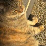 ヒメ日記 2026/02/10 09:45 投稿 さきの 奥様の実話 谷九店