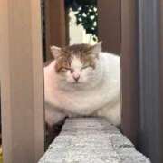 さきの 出勤しました 奥様の実話 谷九店