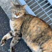 ヒメ日記 2026/04/30 09:45 投稿 さきの 奥様の実話 谷九店