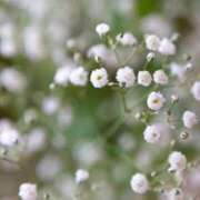 えりか ご挨拶🙇‍♀️✨♥ 妊婦母乳風俗専門店ミルクランド