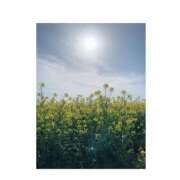 ヒメ日記 2026/04/13 09:38 投稿 えりか 妊婦母乳風俗専門店ミルクランド