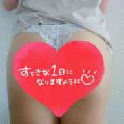 ヒメ日記 2026/02/01 08:01 投稿 いと AVANCE福岡