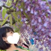 ヒメ日記 2025/05/04 18:00 投稿 佐治 新宿人妻城