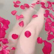 ヒメ日記 2025/05/07 18:01 投稿 佐治 新宿人妻城