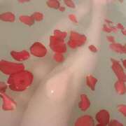 ヒメ日記 2025/06/14 18:00 投稿 佐治 新宿人妻城