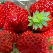 ヒメ日記 2025/05/06 07:05 投稿 ういか S級しろうと娘