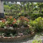 ヒメ日記 2025/05/07 07:15 投稿 ういか S級しろうと娘