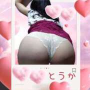 ヒメ日記 2025/06/04 16:52 投稿 桃花/とうか 五反田アネージュ（ユメオト）