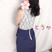 ヒメ日記 2025/06/10 14:19 投稿 桃花/とうか 五反田アネージュ（ユメオト）