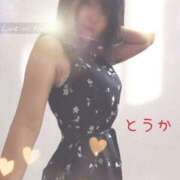 ヒメ日記 2025/06/12 14:48 投稿 桃花/とうか 五反田アネージュ（ユメオト）