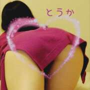 ヒメ日記 2025/07/29 14:44 投稿 桃花/とうか 五反田アネージュ（ユメオト）