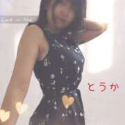 ヒメ日記 2025/07/29 19:51 投稿 桃花/とうか 五反田アネージュ（ユメオト）