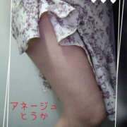 ヒメ日記 2025/08/07 14:29 投稿 桃花/とうか 五反田アネージュ（ユメオト）