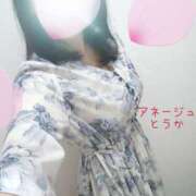 ヒメ日記 2025/11/14 08:01 投稿 桃花/とうか 五反田アネージュ（ユメオト）