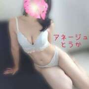 ヒメ日記 2025/11/14 16:00 投稿 桃花/とうか 五反田アネージュ（ユメオト）