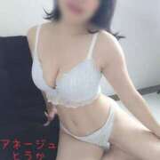 ヒメ日記 2026/01/10 17:20 投稿 桃花/とうか 五反田アネージュ（ユメオト）