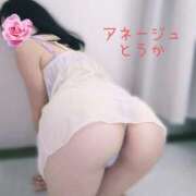 ヒメ日記 2026/01/13 22:39 投稿 桃花/とうか 五反田アネージュ（ユメオト）