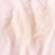 ヒメ日記 2025/12/19 18:20 投稿 りこ☆STANDARD Ribbon 1st