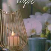 ヒメ日記 2026/01/09 02:41 投稿 りこ☆STANDARD Ribbon 1st