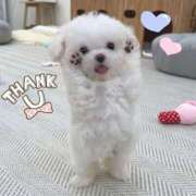 ヒメ日記 2025/05/08 12:18 投稿 柚衣（ゆい） 横浜痴女性感フェチ倶楽部