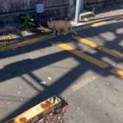 ヒメ日記 2025/08/13 11:25 投稿 らいむ ラブ・アンド・ラブ