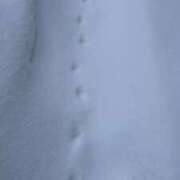 ヒメ日記 2026/01/25 23:46 投稿 らいむ ラブ・アンド・ラブ