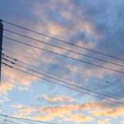 ヒメ日記 2026/03/11 09:44 投稿 いずみ 激安ソープの殿堂　ボイン・ホーテ