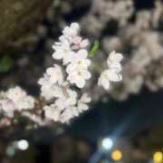 ヒメ日記 2026/04/06 07:08 投稿 いずみ 激安ソープの殿堂　ボイン・ホーテ