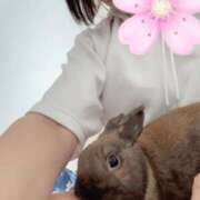 ヒメ日記 2025/05/28 15:34 投稿 ひなた 熟女の風俗最終章 宇都宮店