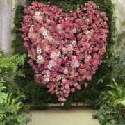 ヒメ日記 2025/06/20 10:03 投稿 ひなた 熟女の風俗最終章 宇都宮店