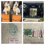 ヒメ日記 2025/07/28 18:31 投稿 ひなた 熟女の風俗最終章 宇都宮店