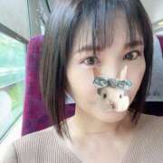 ヒメ日記 2025/08/15 09:41 投稿 ひなた 熟女の風俗最終章 宇都宮店