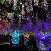 ヒメ日記 2025/10/02 20:13 投稿 ひなた 熟女の風俗最終章 宇都宮店