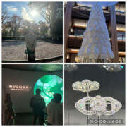 ヒメ日記 2025/11/22 19:21 投稿 ひなた 熟女の風俗最終章 宇都宮店