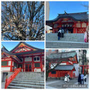 ヒメ日記 2026/01/12 17:51 投稿 ひなた 熟女の風俗最終章 宇都宮店