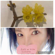 ヒメ日記 2026/02/22 00:04 投稿 ひなた 熟女の風俗最終章 宇都宮店