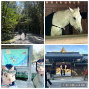 ヒメ日記 2026/03/15 08:31 投稿 ひなた 熟女の風俗最終章 宇都宮店