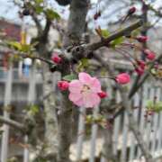 ヒメ日記 2026/03/19 23:31 投稿 ひなた 熟女の風俗最終章 宇都宮店