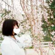 ヒメ日記 2025/06/01 12:15 投稿 佐治 渋谷人妻城