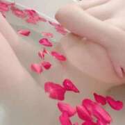 ヒメ日記 2025/07/25 20:33 投稿 佐治 渋谷人妻城