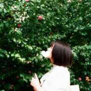 ヒメ日記 2025/11/17 18:15 投稿 佐治 渋谷人妻城