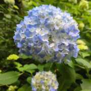 ヒメ日記 2025/05/20 09:24 投稿 園田 熟女の風俗最終章　鶯谷店