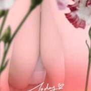 ヒメ日記 2025/06/12 11:59 投稿 園田 熟女の風俗最終章　鶯谷店