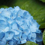 ヒメ日記 2025/06/10 16:36 投稿 ユミ 煌-kirameki-