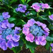 ヒメ日記 2025/06/25 14:29 投稿 ユミ 煌-kirameki-