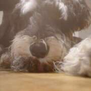 ヒメ日記 2025/07/30 22:53 投稿 蛍 池袋角海老