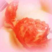 ヒメ日記 2025/12/07 14:53 投稿 蛍 池袋角海老