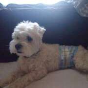 ヒメ日記 2025/12/31 16:57 投稿 蛍 池袋角海老