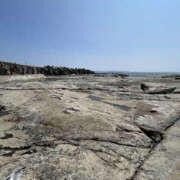 ヒメ日記 2025/08/27 12:45 投稿 りりか 奥鉄オクテツ東京店（デリヘル市場）