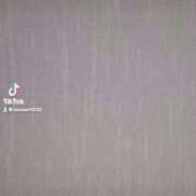 ヒメ日記 2025/12/12 21:40 投稿 まおん 奥様特急　池袋・大塚店